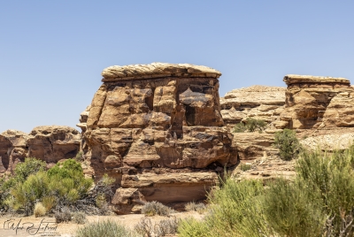 Canyonlands National Park June 2025